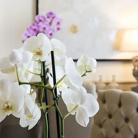 Hotel Palazzo Lorenzo Boutique &